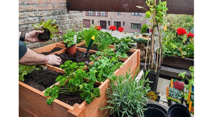 Bien Nourrir Les Plantes