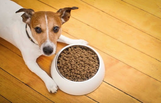 L’alimentation Industrielle