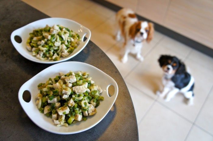 L’alimentation Ménagère